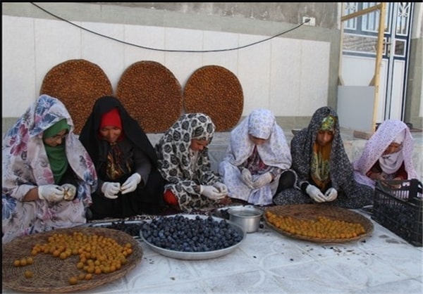 توزیع مستقیم آلو خشک