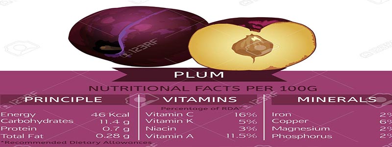 فروش آلو خورشتی