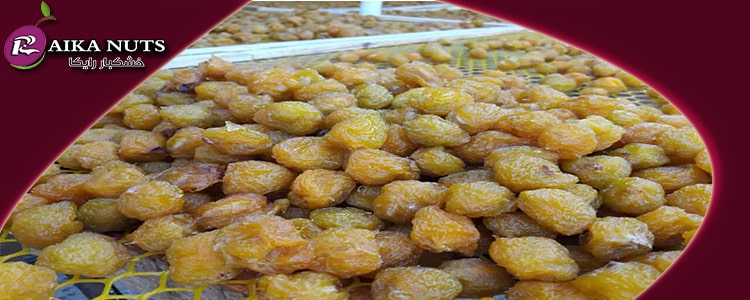 فروش عمده آلو خشک