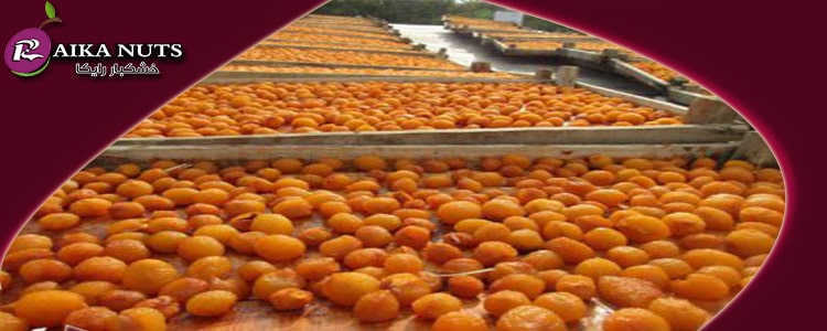 فروش عمده آلو خشک