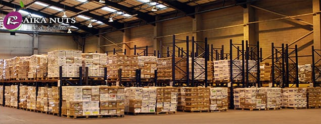 فروش ویژه آلو خشک