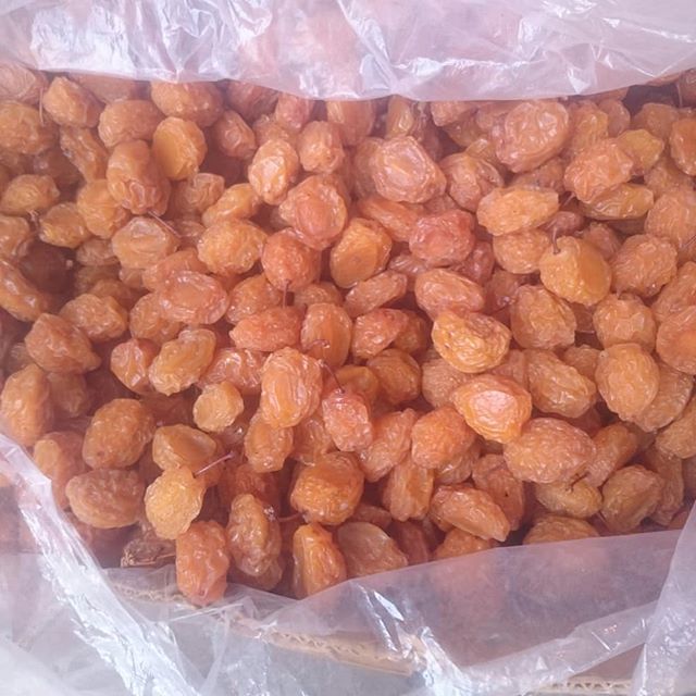 مرکز خرید آلو بخارا در نیشابور