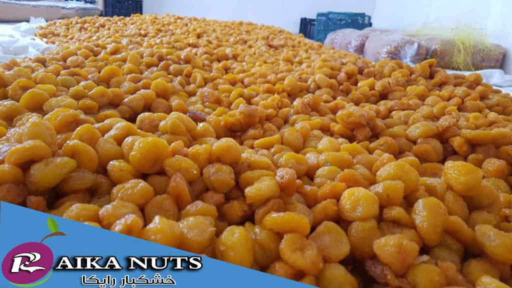 خرید عمده آلو آفتابی