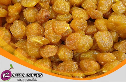 خرید عمده بهترین آلو بخارا