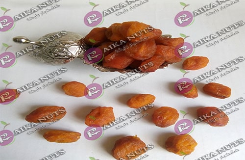 فروش آلو بخارا نیشابور