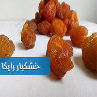 فروش آلو بخارا