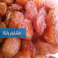 فروش آلو بخارا نیشابور به قیمت روز