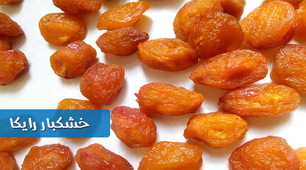 فروش آلو بخارا تیزابی با قیمت مناسب