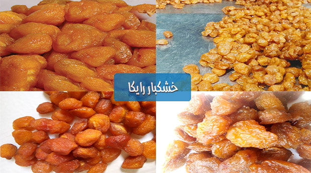 عرضه عمده آلو خورشتی بصورت فله