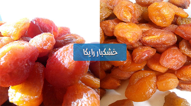 عرضه عمده آلو خورشتی بصورت فله