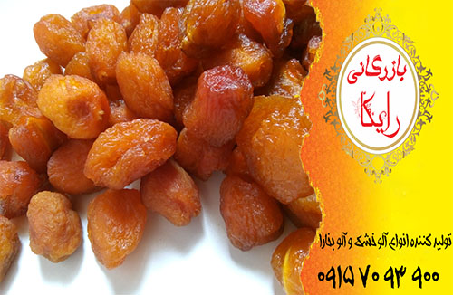 فروش عمده آلو بخارا