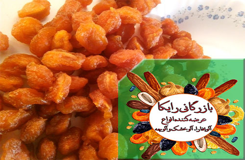 صادرات بهترین آلو بخارا