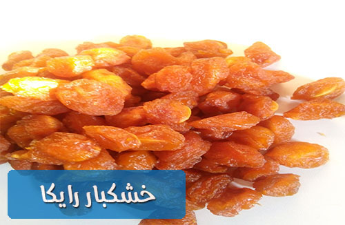 صادرات بهترین آلو بخارا