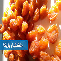 قیمت آلو خشک