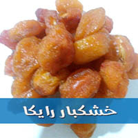 قیمت آلو آفتابی رسمی ویژه خریداران