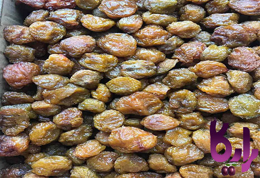 خرید آلو خشک جهت آبگیری