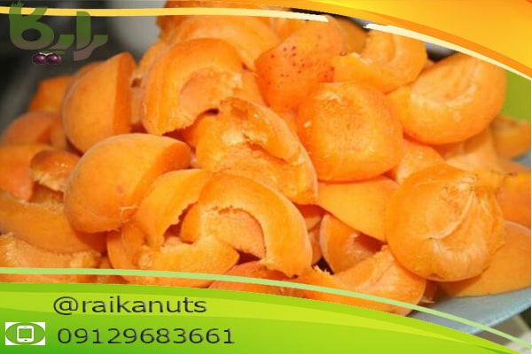 خرید عمده برگه زردآلو