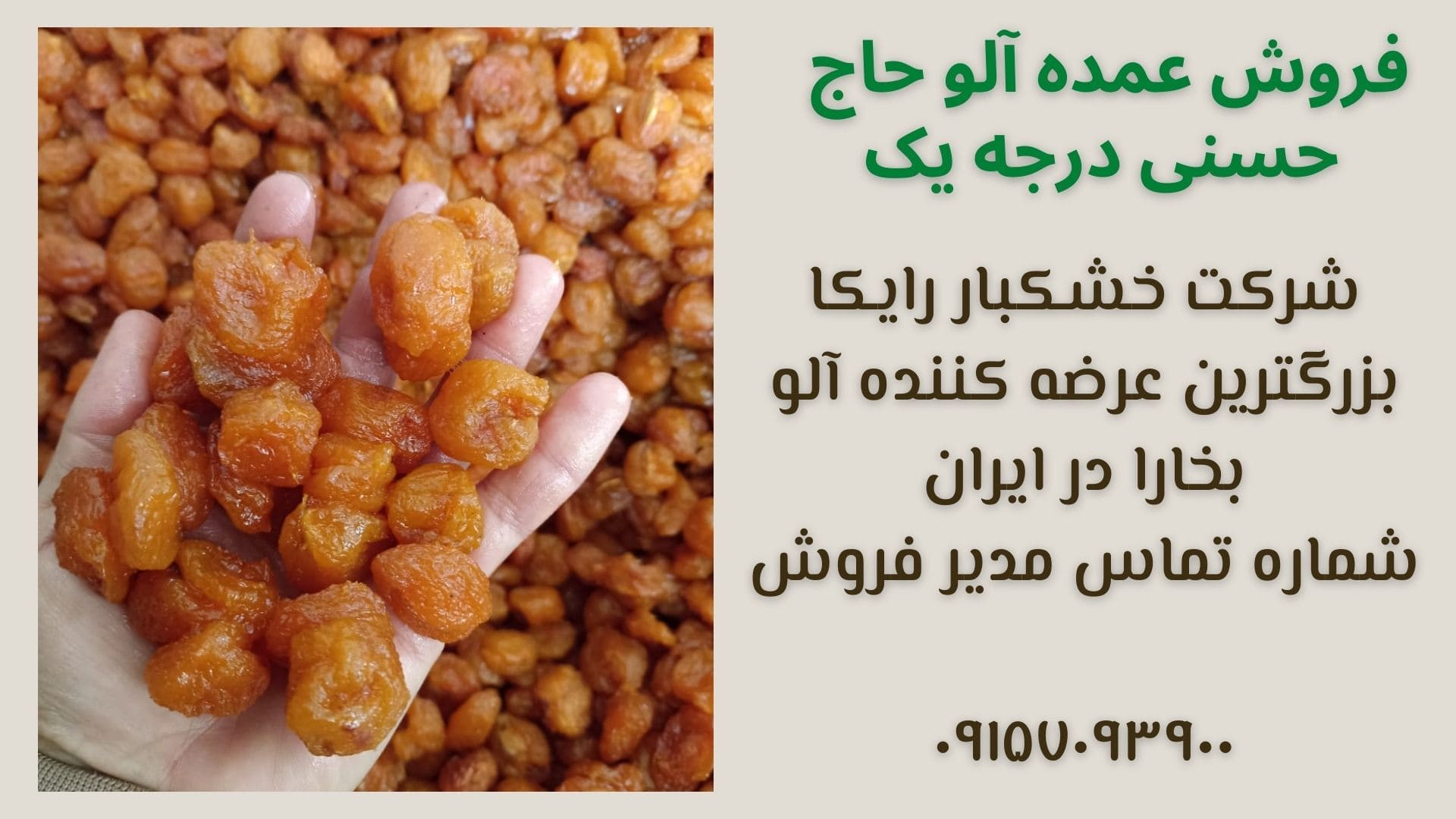 فروش آلو بخارا نیشابور