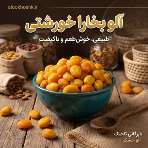 خرید آلو بخارا خورشتی