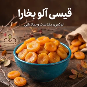 خرید قیسی آلو بخارا